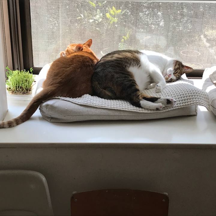 7bf135b3 4b46 454b 8b3e d8243ab8ae59 1521094433121