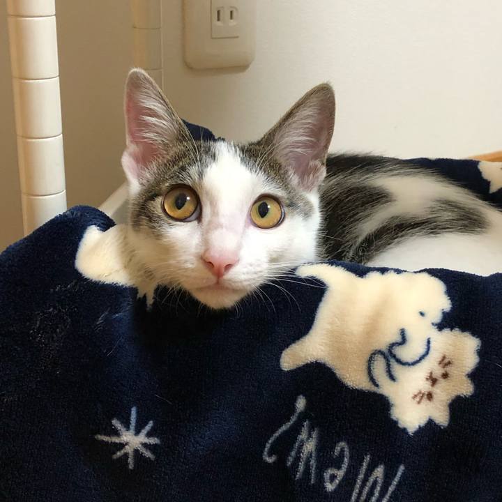 7bf176c8 299e 4bc2 b085 ebc7972dafdc 1570437125019