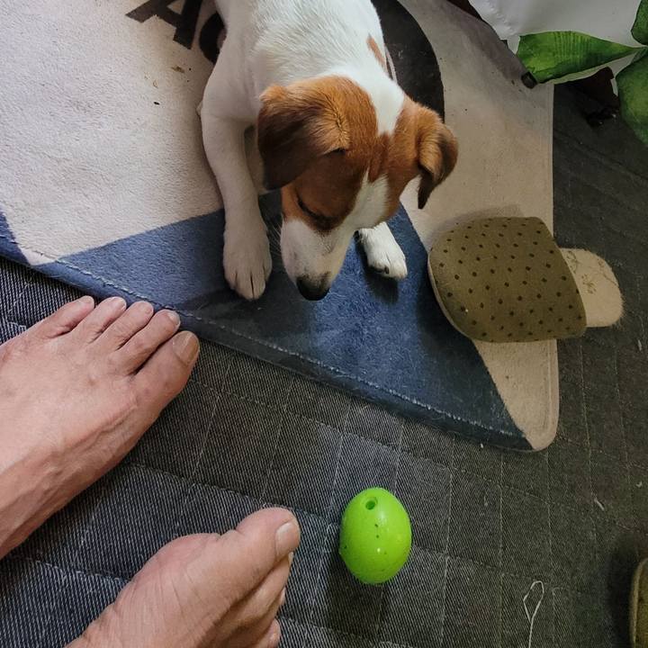 7bf18ffd f9c6 43e6 a228 93fc066b76af 1718937829009