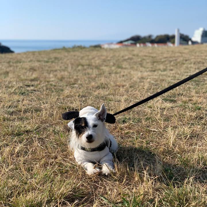 7bf1ad58 971c 48ce a095 2530b54c4a97 1701564919645