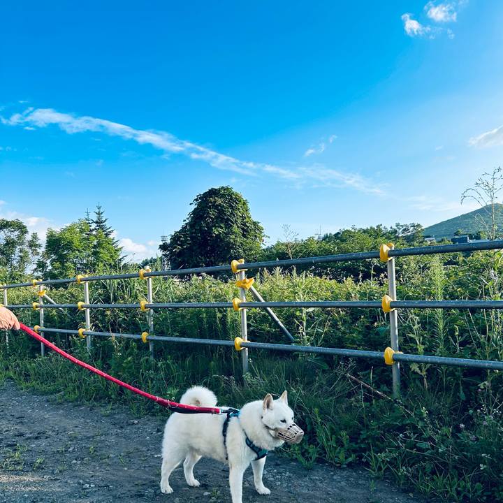 7bf1d782 1376 422c b2ec 7c1209b2fbc2 1753131703251