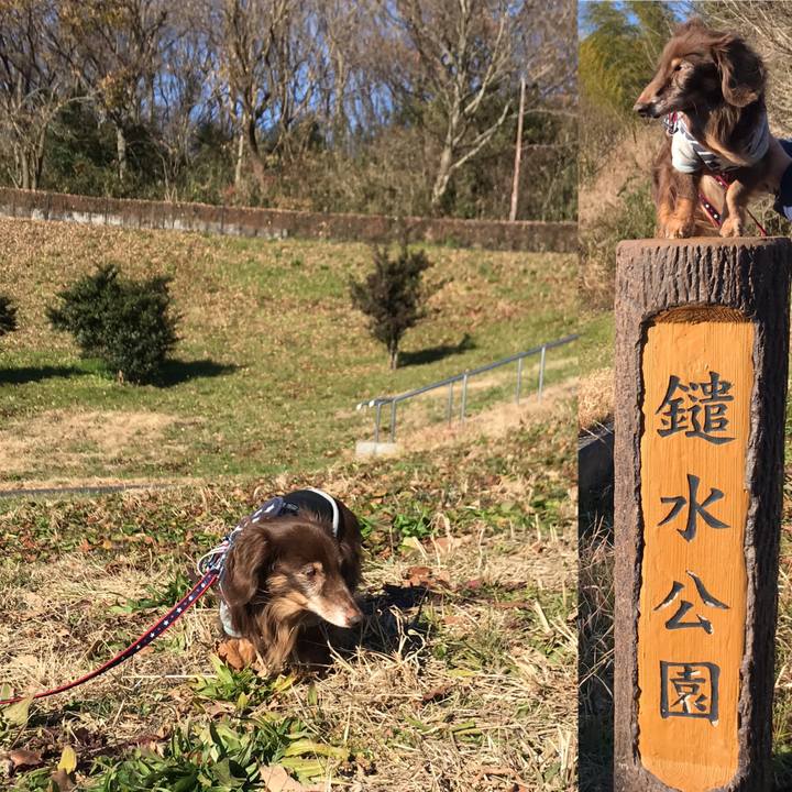 7bf1f4f6 751c 417a 9b3e af0fa2f68838 1578208275397