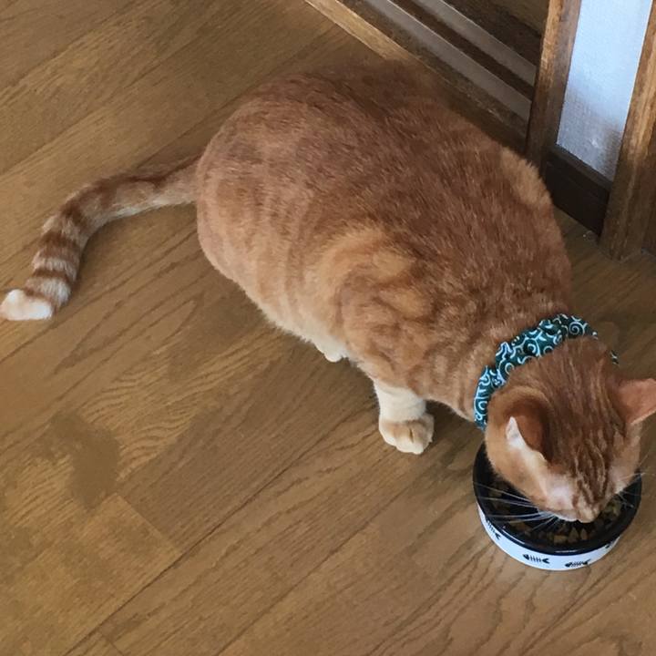 7bf20780 4d75 4a58 b054 fda224e22d64 1545872908110