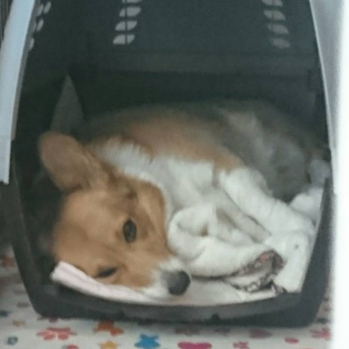 7bf21fd7 6281 4d42 9ec9 d6d3a8924257 1515377296739