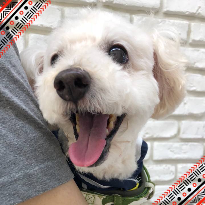 7bf22a26 757e 4533 b1d0 1a446d1eaa86 1531055100389