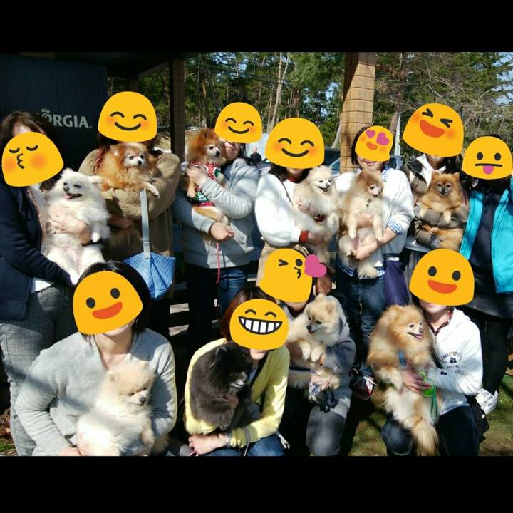 7bf26689 42b4 4c7c abfd 61292b33b66b 1520153892344