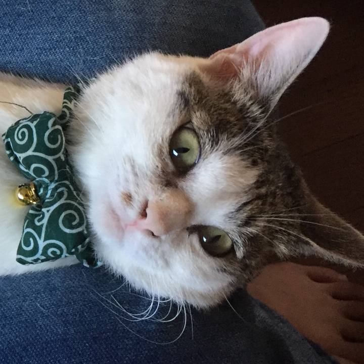 7bf28314 6f4f 4e1d bfba c5ea42c77559 1529934300255