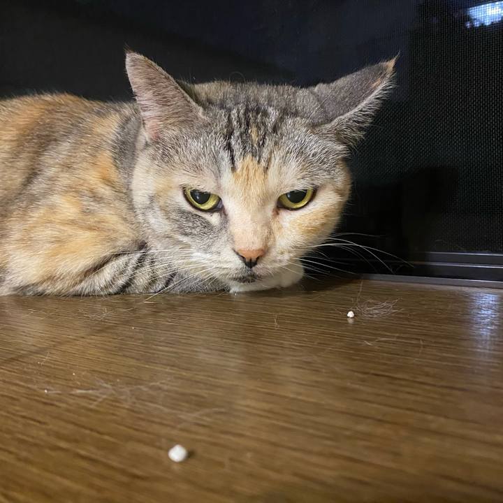 7bf2cfaa b93c 4013 9a2f 35c2b4066935 1627383704273