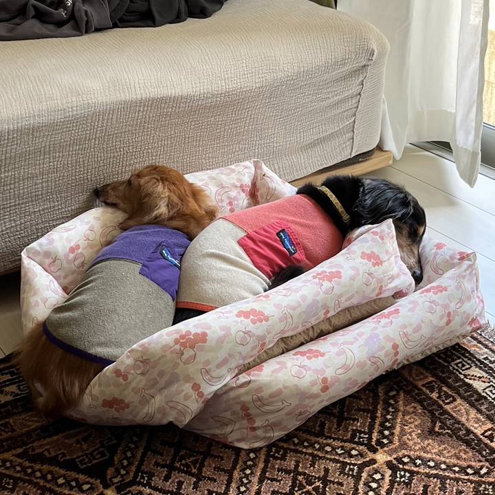 7bf2fed8 03e5 4d6b b4f9 f9bbdc6d1266 1699802932915