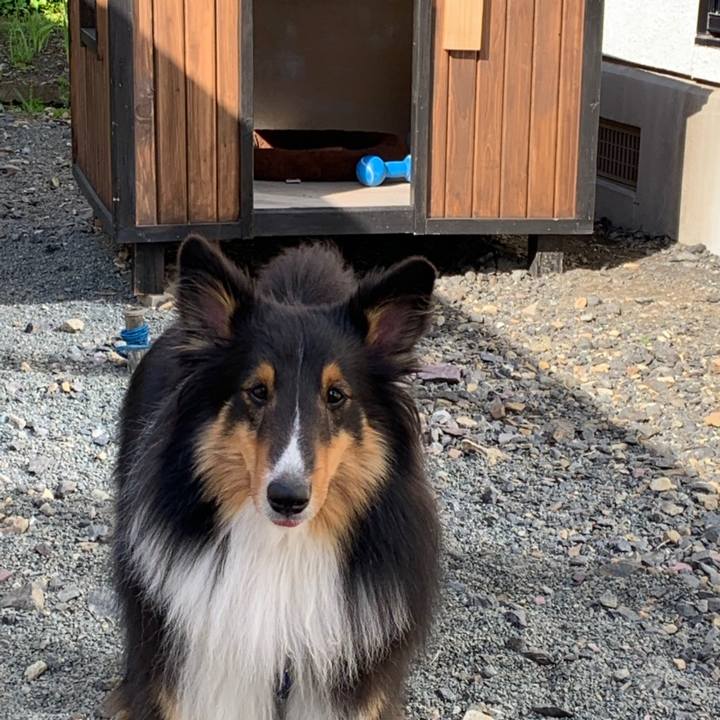 7bf313fb 6769 4666 a745 2cc381e1ef89 1558563990058