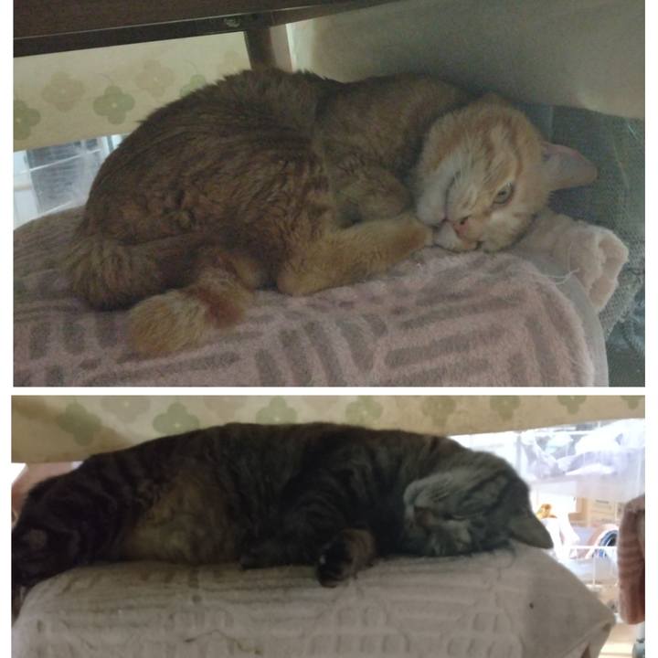 7bf31a4f a2dc 4ec2 8b47 48e6a7114d3b 1681374218034