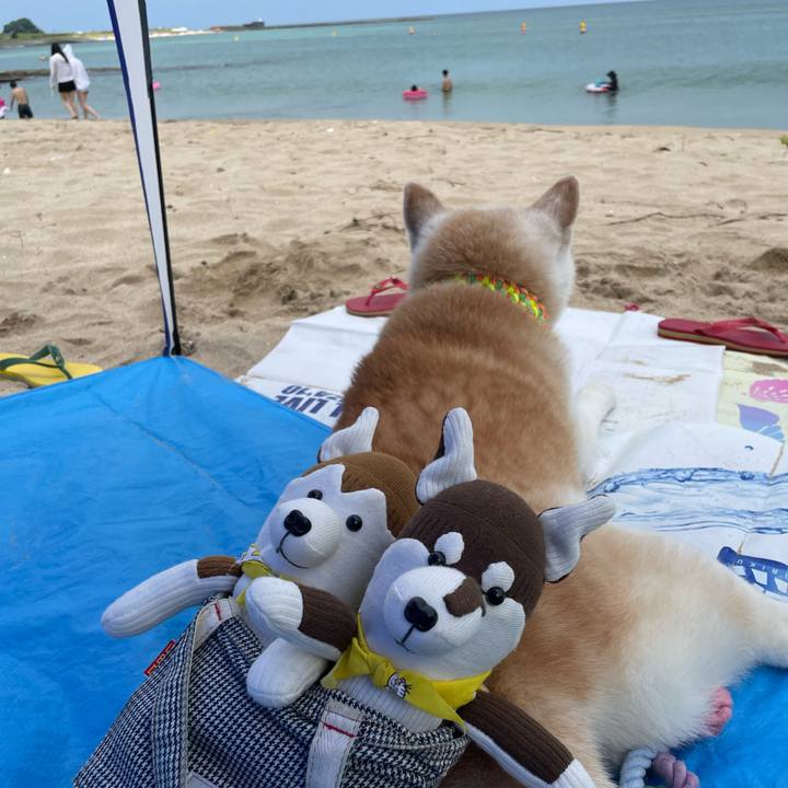 7bf33750 f0fe 481e 919e 2535b9cb3134 1658013586800