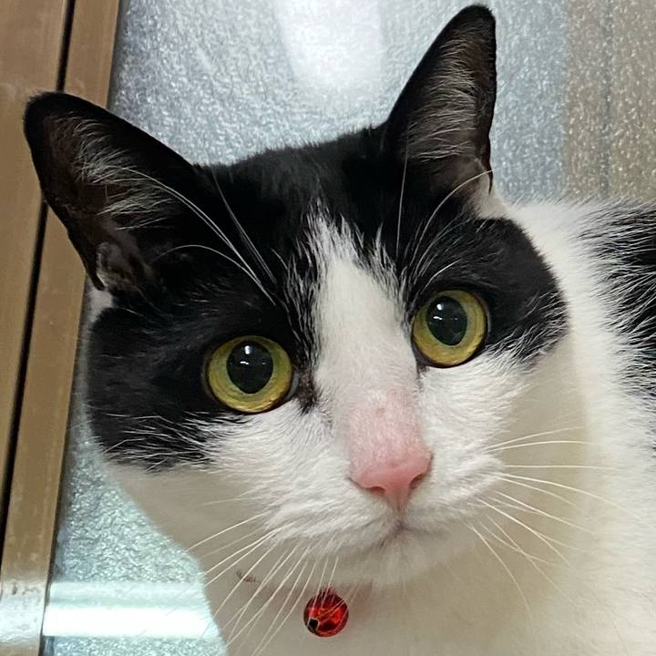 7bf38b98 92f7 4be1 8148 4696efe84c8f 1642936552349