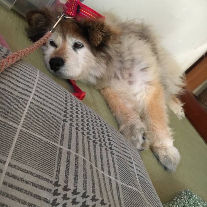 7bf3b913 b9c3 4487 8303 b8a5118eb067 1554247084099