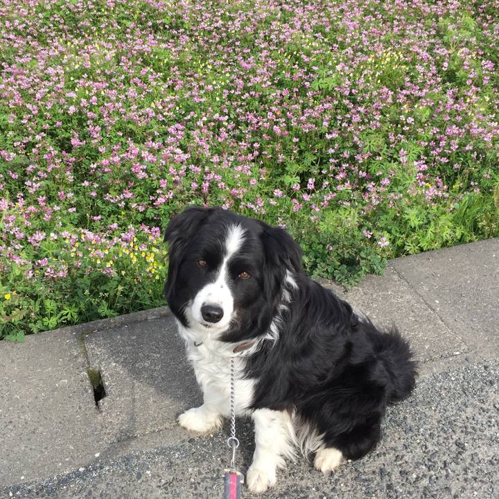 7bf3c5db fe77 4319 82e5 2bc053062397 1555375855578