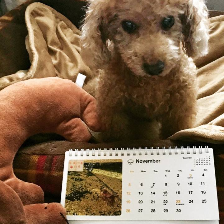 7bf3c7e2 20c9 425e ab63 76fd1b3cc851 1509501501169