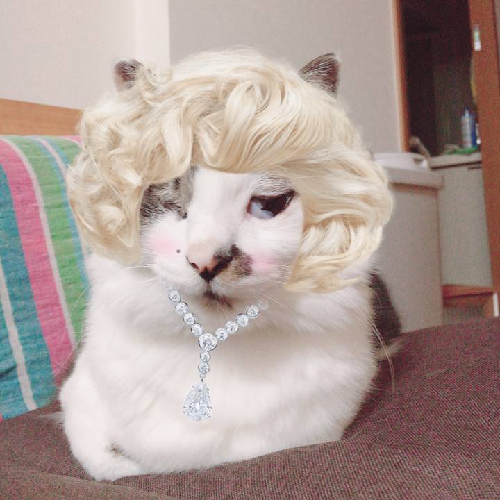 7bf3d257 2fab 4fdf 9222 9fbb91bcfe85 1549326342849