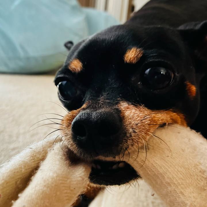 7bf3d93e 46eb 4c5c b42a 25eb225fc242 1771625012246