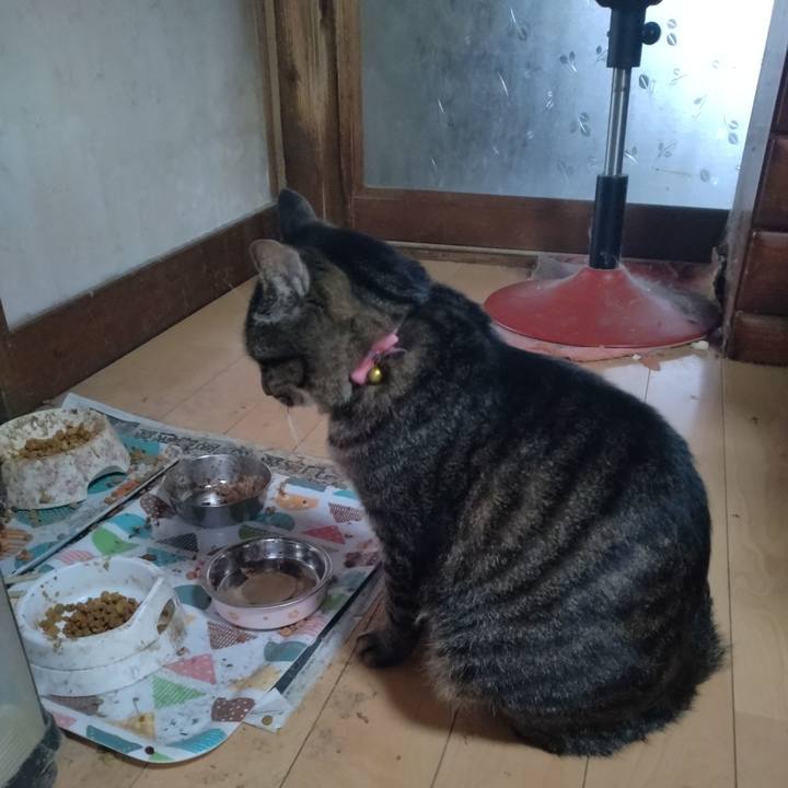 7bf3ed14 ba7b 4c15 ad06 e1f7762c5d69 1668305986358