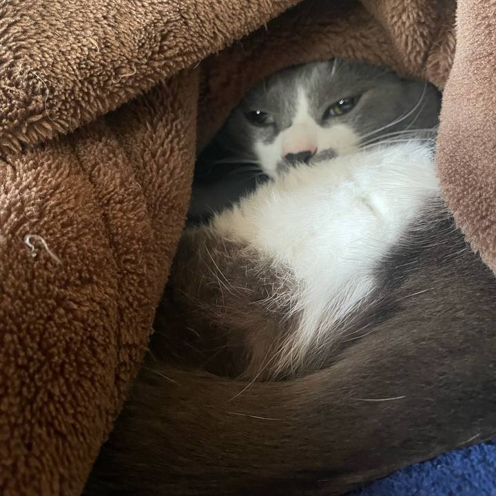 7bf41b29 ddf6 438f bf75 8602e550dd55 1667801617422