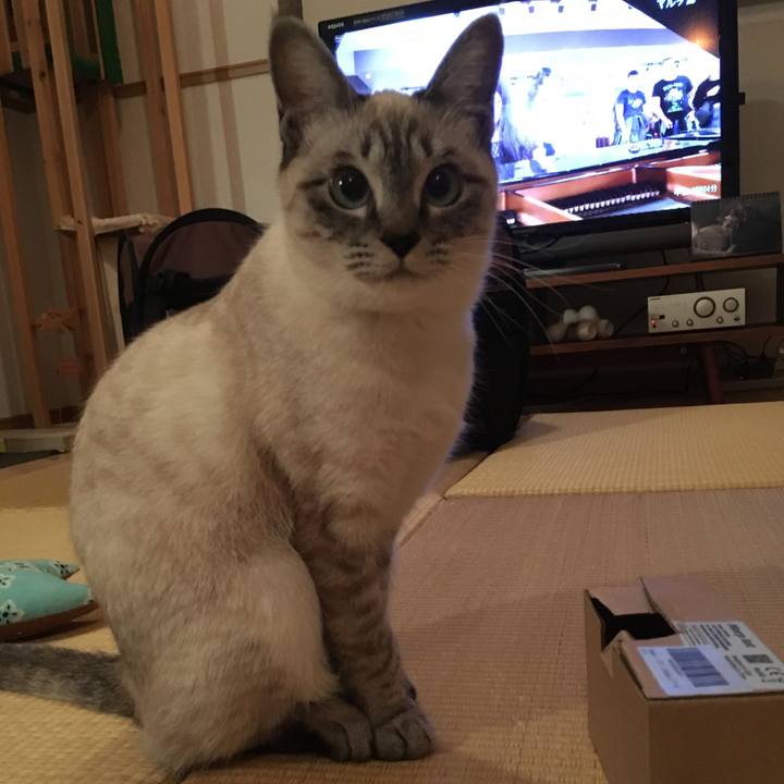 7bf426bb 8872 47b1 b6da 8aab9f657107 1548245266976