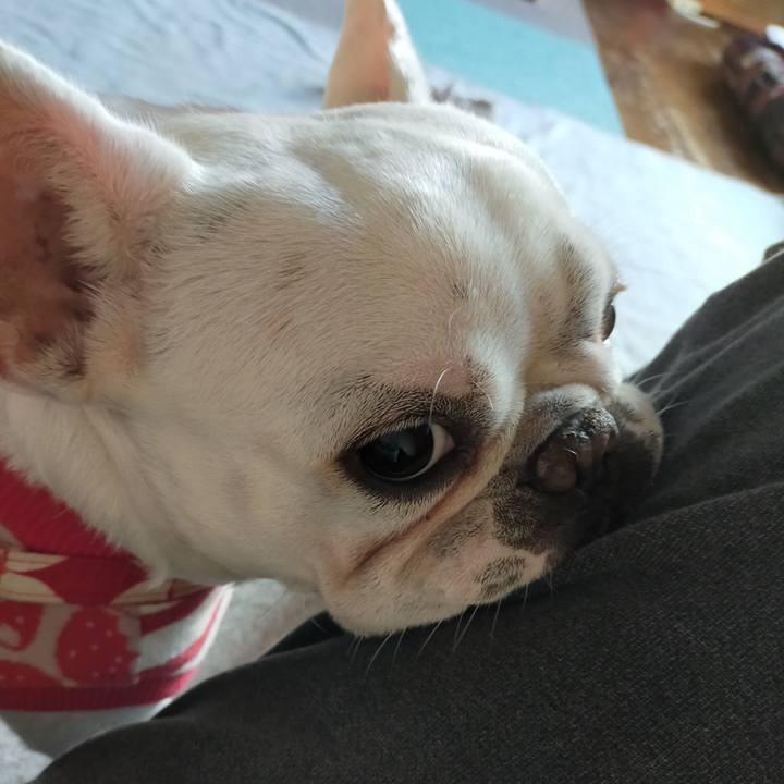 7bf42b95 a81d 4ce4 8f82 468f72ac3ff1 1636842653044