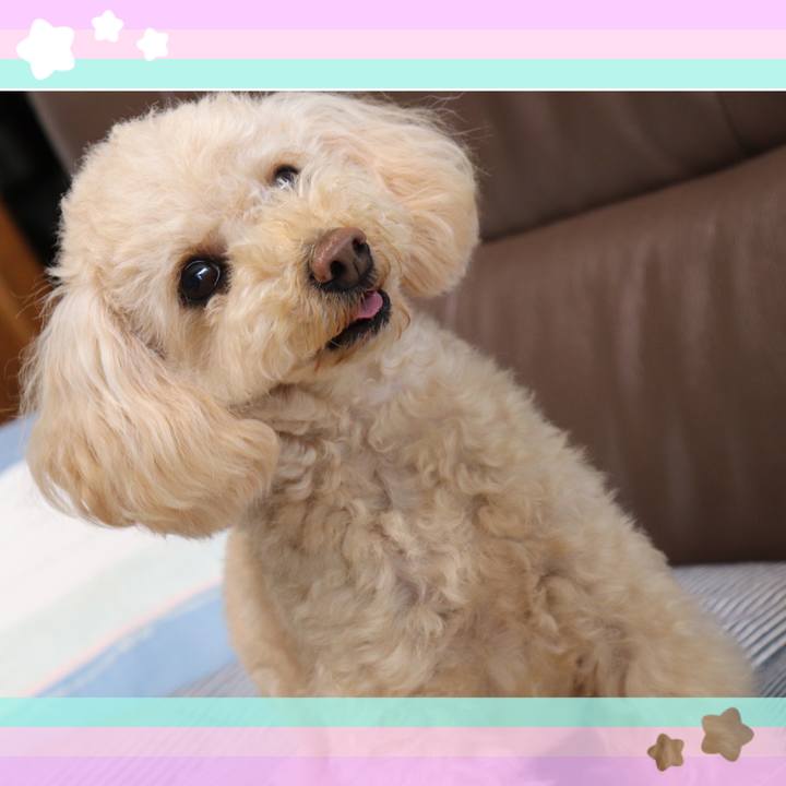 7bf42efc 4ad5 4d9e a4c6 54ce4e099807 1635697769947