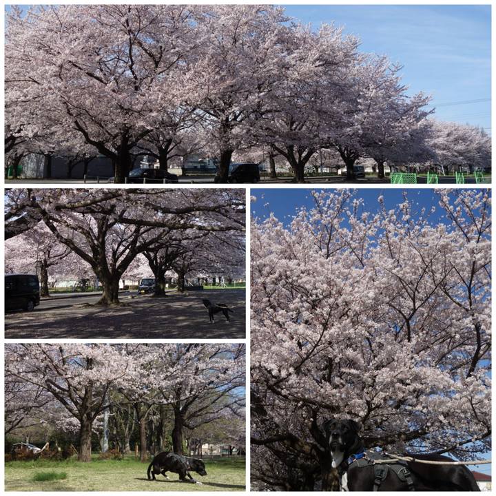 7bf45e44 8c3e 4cc9 bc4b 89bfdb7a7be2 1648861386037