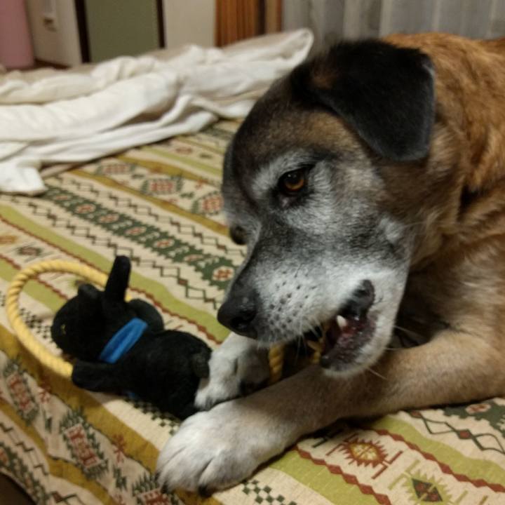 7bf47a75 2c9a 484f af08 b57397890087 1516866258496