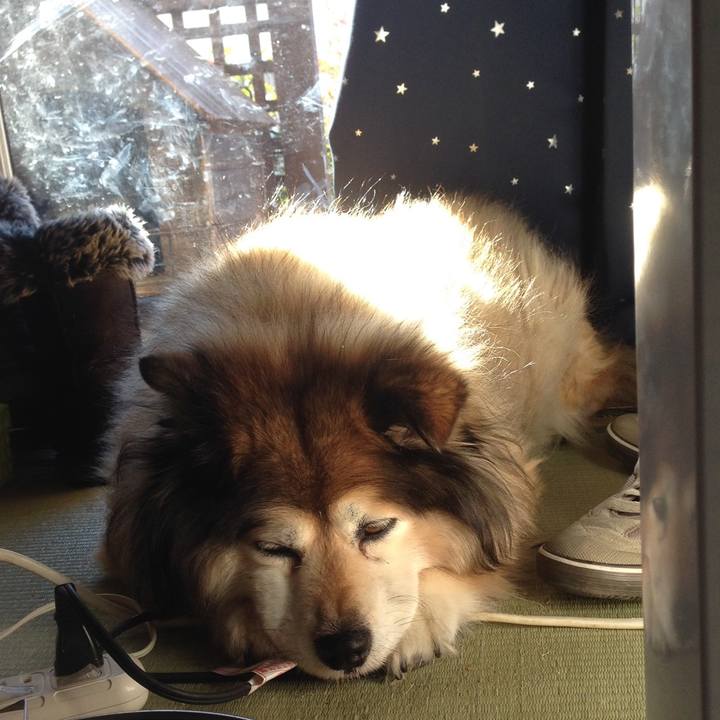 7bf4d29c 10c9 4eb0 be65 f3704ea6f37c 1610434103179