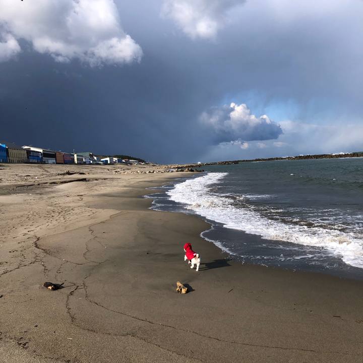 7bf4f54f dc5b 4dc3 8bf9 46662ad02fdb 1585005035381