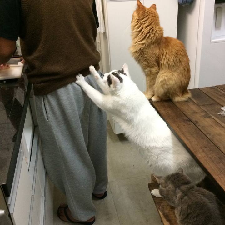 7bf51fe0 ce93 4894 8871 9181bc16768b 1512403119677