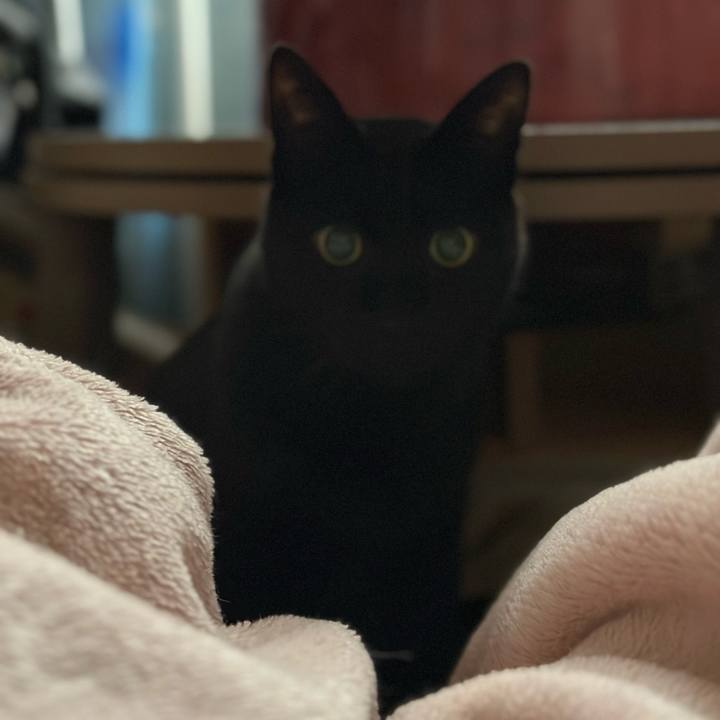 7bf54d1f 3e22 487a 8c87 ebda944615b1 1668307428975