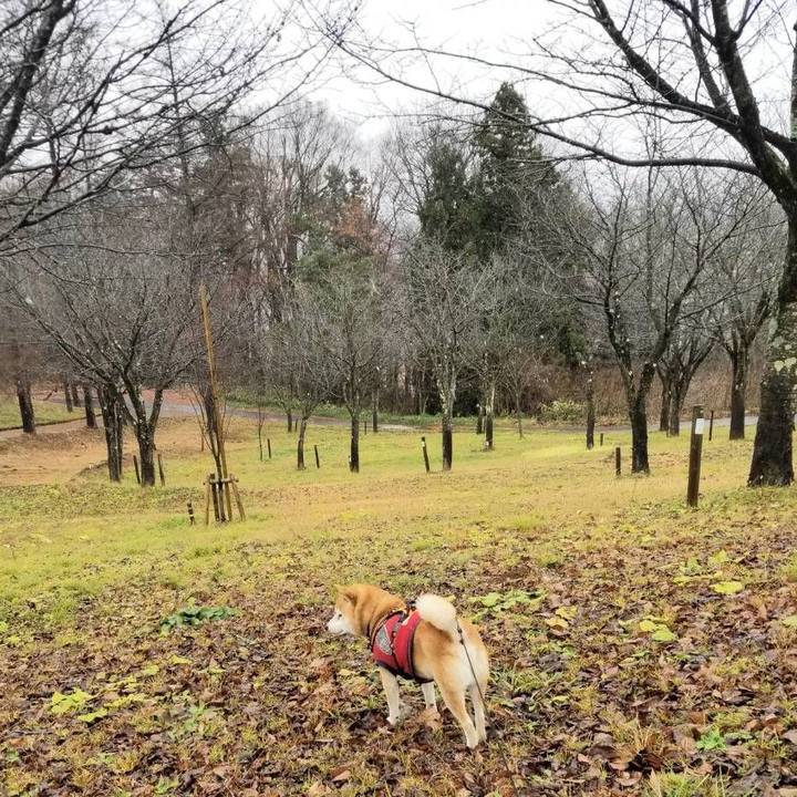 7bf5ba35 2688 4d52 b3c0 89812d5bed2b 1607836011274