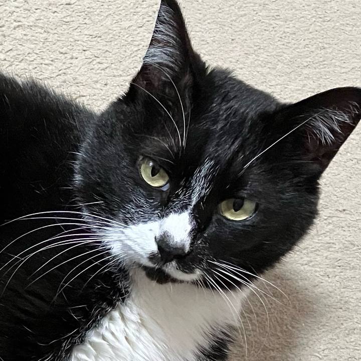 7bf6144c f725 4a73 86c6 ae16be5fa5be 1719047618171