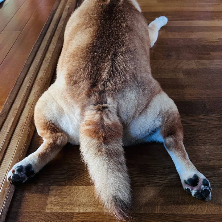 7bf623b4 be02 4b0f a2c1 fd00f5b6048b 1725775494209