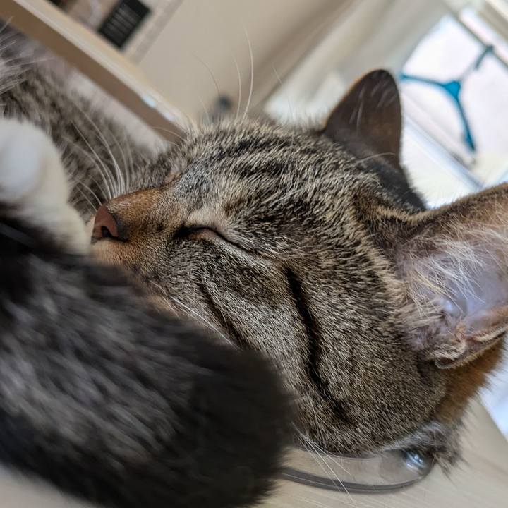 7bf68fad d3e5 4879 88ad 0c4fbd930f63 1719016862676