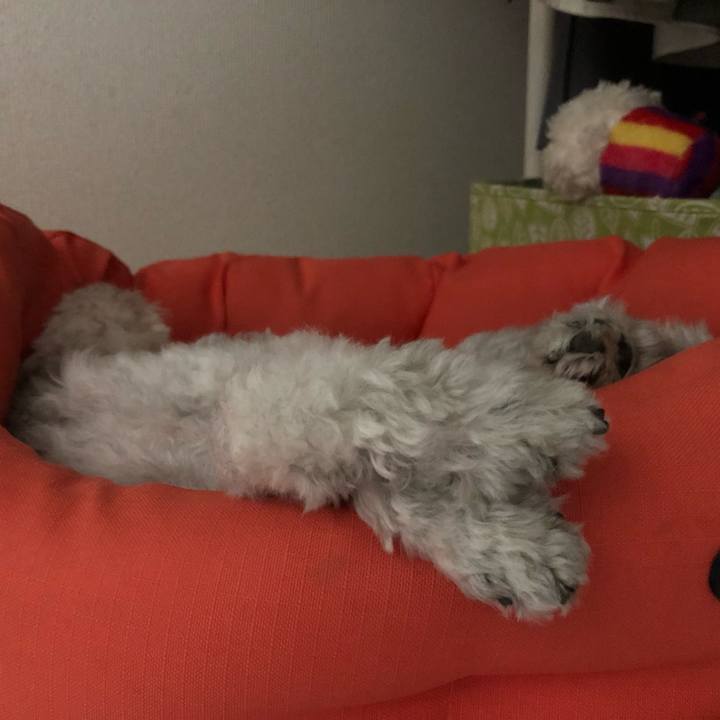 7bf69b70 177f 44a3 b47d 31e8361b9bc6 1566773315581