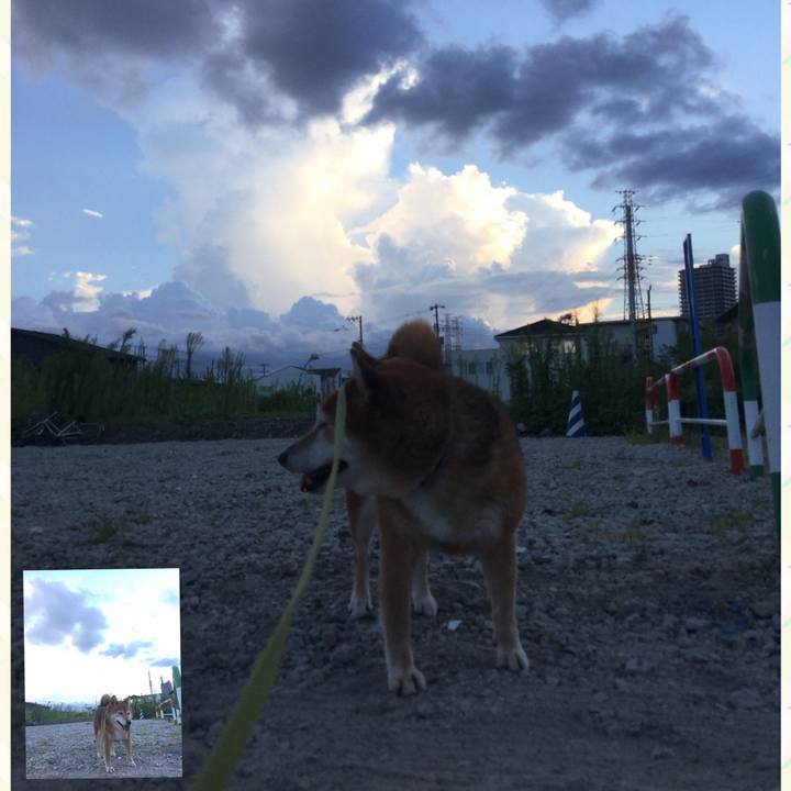 7bf6a657 3154 4b1d ad06 d1f98bc809ad 1599296640685