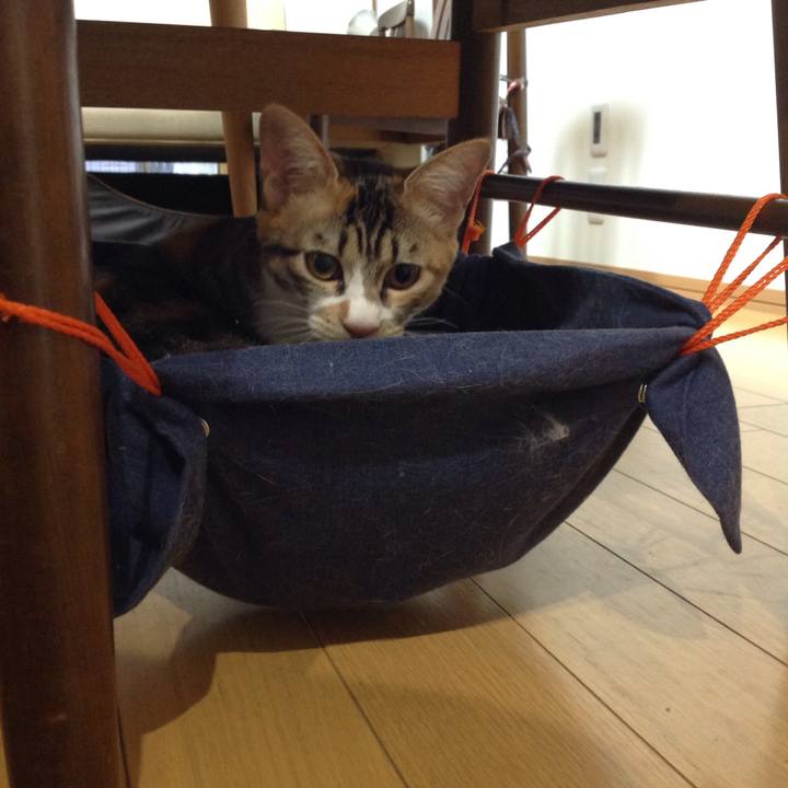 7bf6b792 4900 4334 92b3 814add26b017 1637791115155