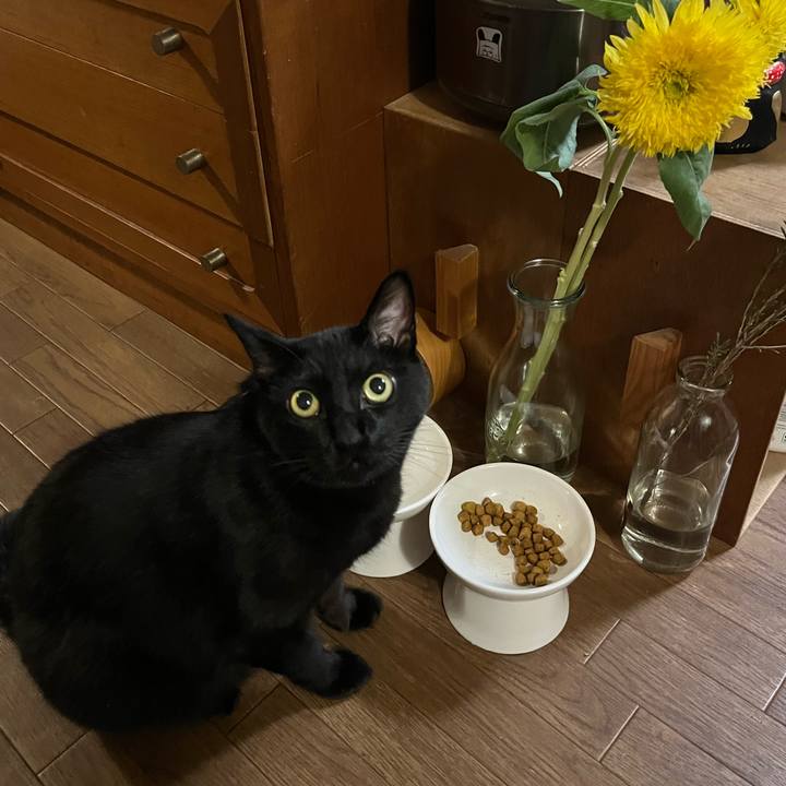 7bf7042f f225 4209 8df8 af7ddcf04f27 1756906359560