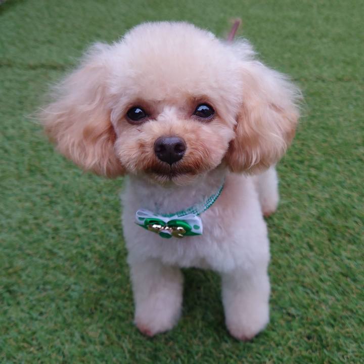 7bf70456 1120 4653 866c ad0c3fb886f1 1771146990175