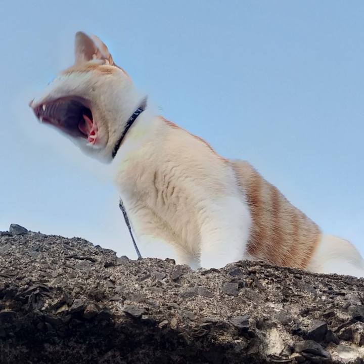 7bf715ea bb51 4af7 89b2 b59f24376457 1528541204912