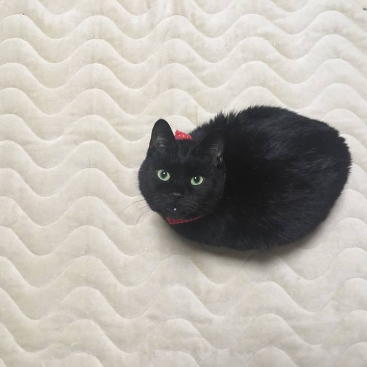 7bf71640 0bba 4139 92f5 062a6daf3415 1545902032826