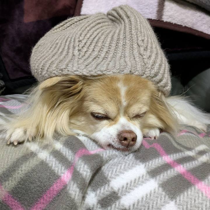 7bf78eac 36cc 46d2 af30 ce25695567b3 1769815374790