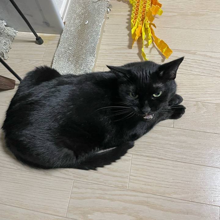 7bf79969 2dc1 4755 bfd5 eb72ab07e3ef 1713009636381