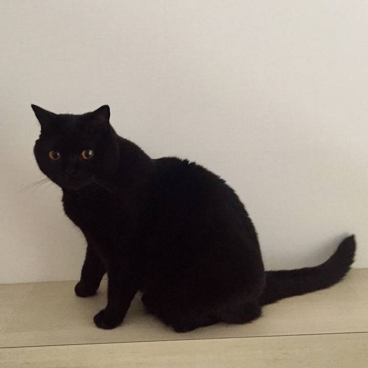 7bf7b800 ca3a 48bb 939e aea0aa77e47d 1531364339523