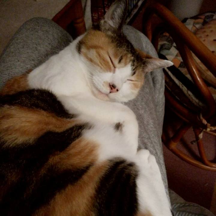 7bf7f4bb 6faa 4bb3 bddb 6972efeef7d5 1614862917294