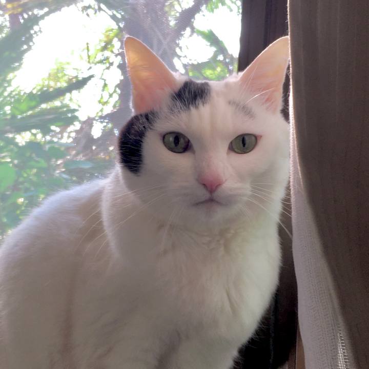 7bf82827 6fc7 4a91 8ee3 ad6990c058a3 1588316875738