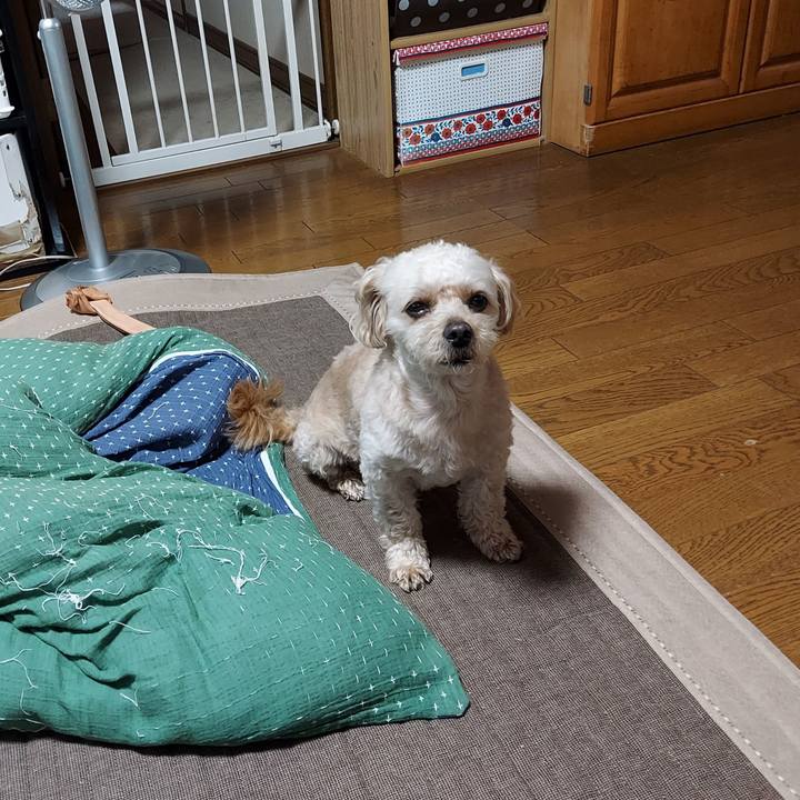 7bf83ca4 2be5 4bf4 bcb6 91e92c47f909 1625969923964